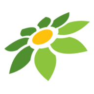 LINK HEHE303